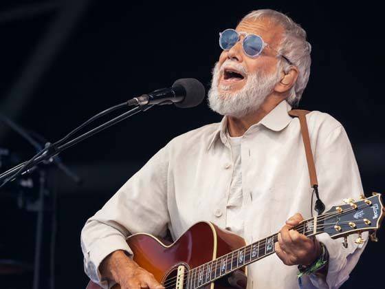 Cat Stevens