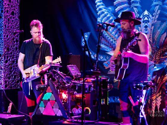 Dirtwire & The Floozies