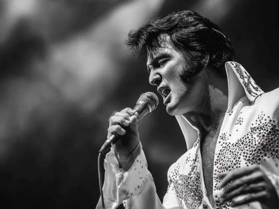 Stewart Chapman - Tribute to Elvis