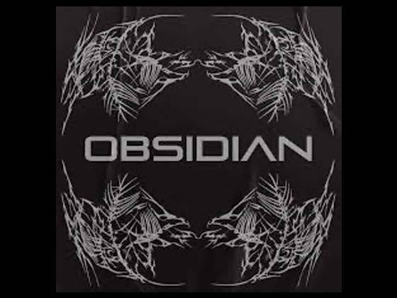 Adam Ten with Obsidian