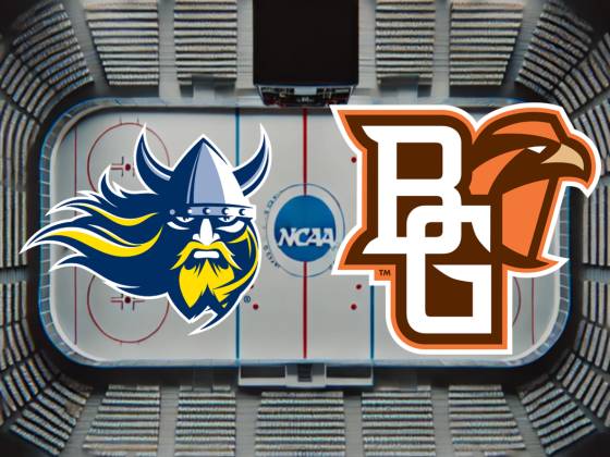 Augustana Vikings at Bowling Green State Falcons Mens Hockey