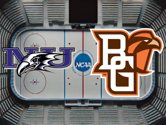 Niagara Purple Eagles at Bowling Green State Falcons Mens Hockey