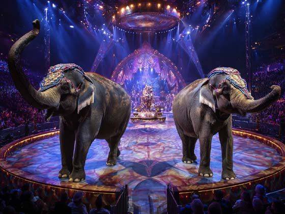 Ringling Bros. and Barnum & Bailey presents The Greatest Show On Earth - Pittsburgh