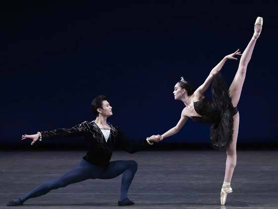 Black Swan - The Musical - Cambridge