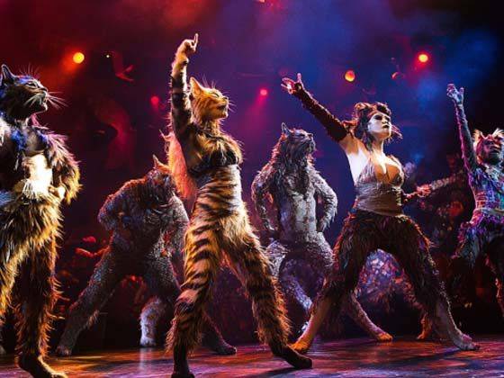 Cats: The Jellicle Ball