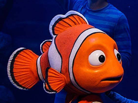 Finding Nemo