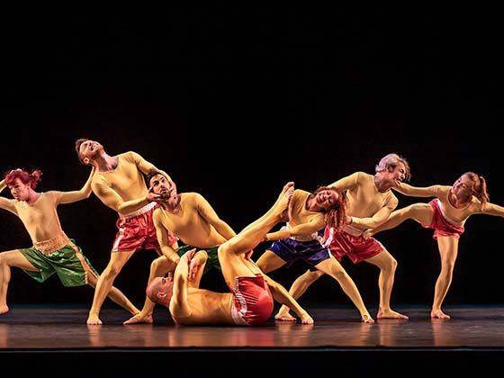 Pilobolus