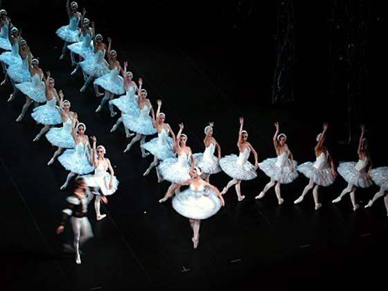 Angkor Dance Trou: A Khmer Swan Lake