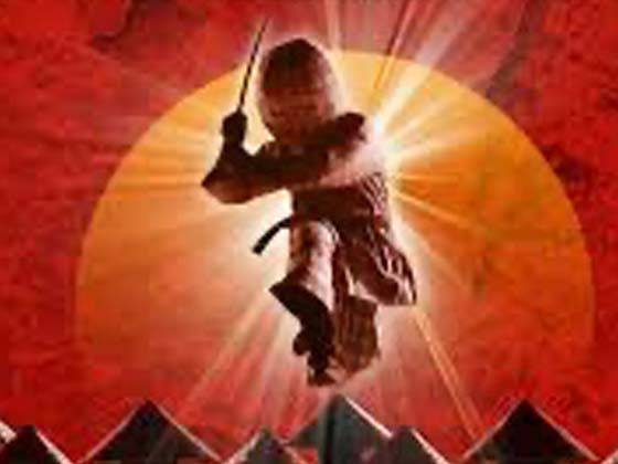 Ternet Ninja