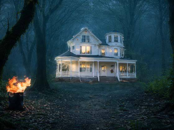 The Official Biography