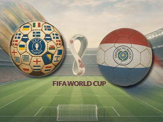 WC Match 31: Turkey vs. Paraguay